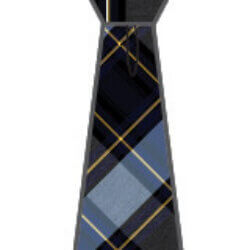 Alive Blue & Gold Tartan Adjustable Tie