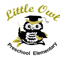 Owl School